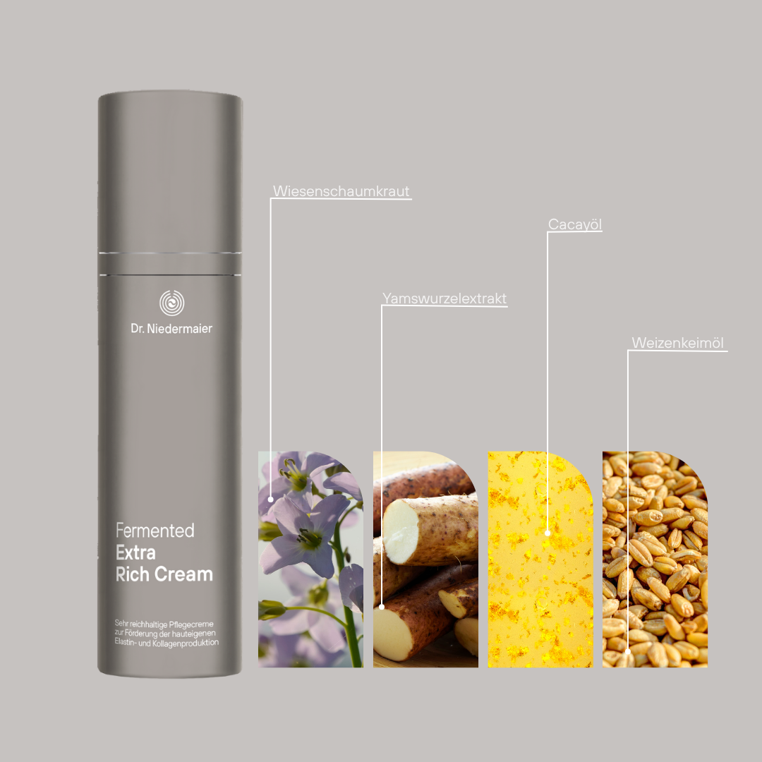 Fermented Extra Rich Cream